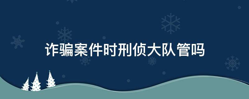 詐騙案件時(shí)刑偵大隊(duì)管嗎（詐騙立案了刑警隊(duì)查嗎）