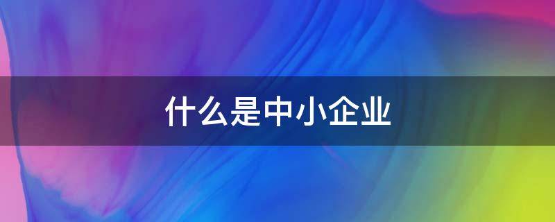 什么是中小企业 什么是中小企业标准