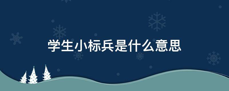 学生小标兵是什么意思 优秀学生标兵是什么意思