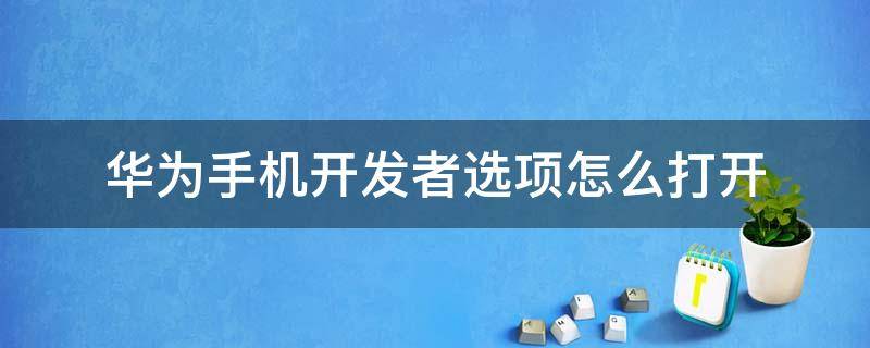 华为手机开发者选项怎么打开（华为手机开发者选项怎么打开模拟位置）