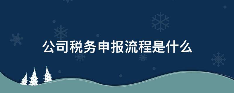 公司税务申报流程是什么（公司税务申报怎么操作流程）