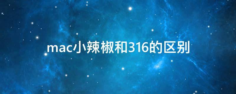 mac小辣椒和316的区别 mac小辣椒好看还是316好看