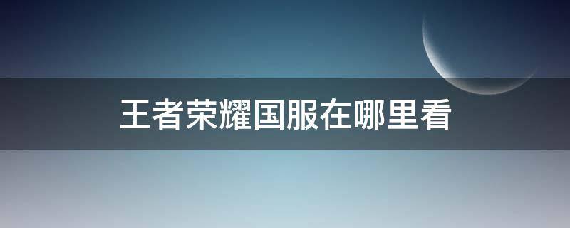 王者榮耀國服在哪里看 王者榮耀在哪看國服