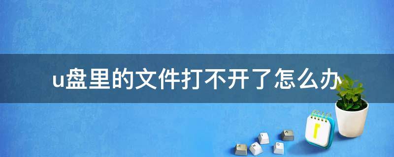 u盤里的文件打不開了怎么辦 u盤里的文件打不開怎么辦