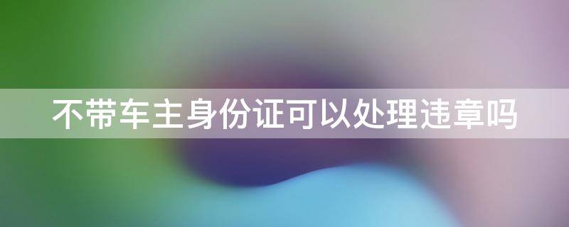 不帶車主身份證可以處理違章嗎（不帶車主身份證可以處理違章嗎）