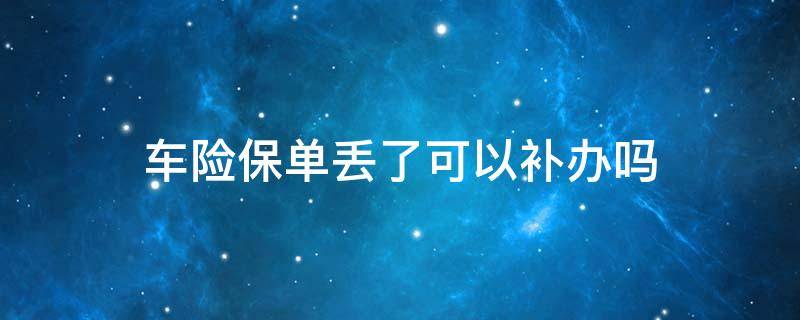 車險保單丟了可以補(bǔ)辦嗎（車輛保險單丟了能補(bǔ)嗎）