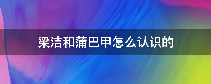 梁潔和蒲巴甲怎么認(rèn)識(shí)的（梁潔與蒲巴甲怎么認(rèn)識(shí)的）