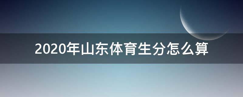 2020年山东体育生分怎么算（2020年山东体育分数怎么算）