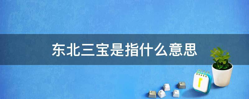 东北三宝是指什么意思（东北哪三宝东北三宝指的是什么）