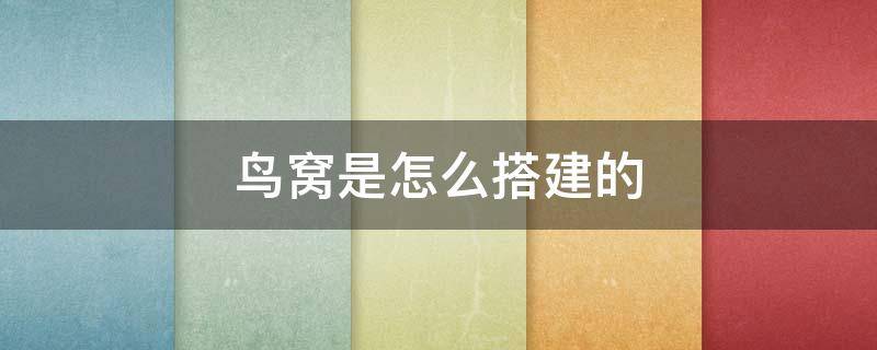 鳥(niǎo)窩是怎么搭建的（鳥(niǎo)窩是怎么搭建的作文）