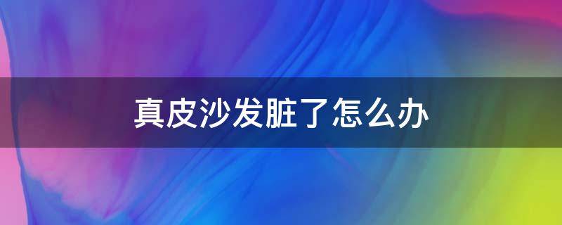 真皮沙發(fā)臟了怎么辦 牛皮沙發(fā)臟了怎么辦