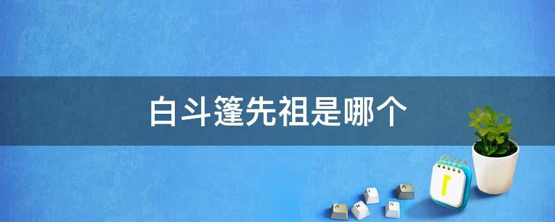 白斗篷先祖是哪个 白斗篷先祖是哪个周家镇