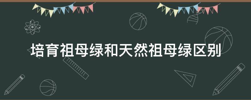 培育祖母绿和天然祖母绿区别 天然祖母绿和人造祖母绿的区别