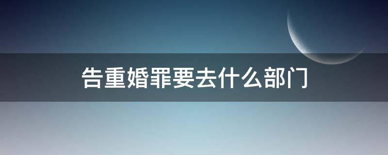 告重婚罪要去什么部门 告重婚罪需要去哪里告