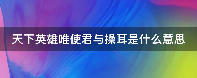 天下英雄唯使君與操耳是什么意思 天下英雄,唯使君爾