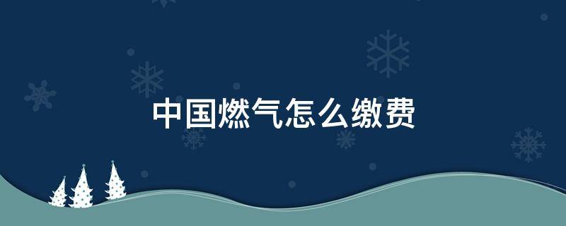 中国燃气怎么缴费（中国燃气费用怎么缴费）