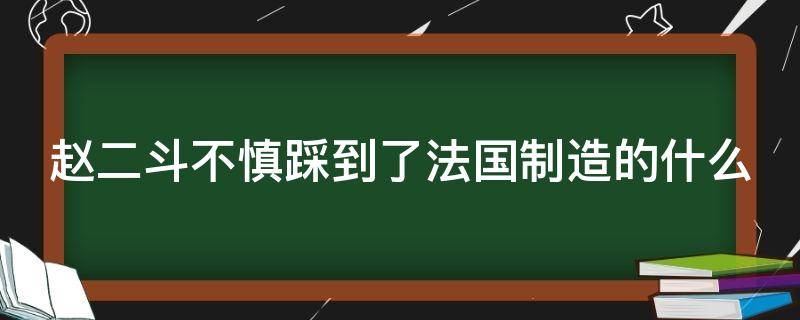 趙二斗不慎踩到了法國制造的什么 趙二斗不慎踩到了法國制造的什么地雷?