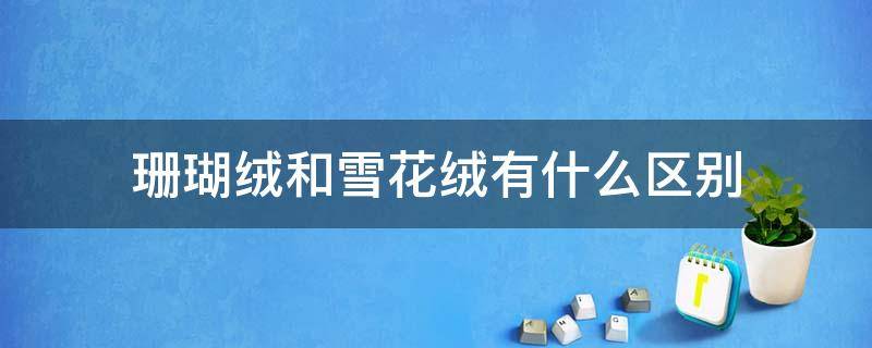 珊瑚絨和雪花絨有什么區(qū)別 雪花絨和珊瑚絨哪個(gè)暖和