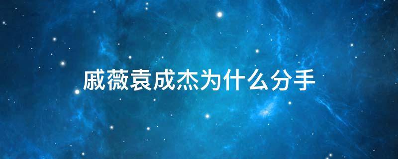 戚薇袁成杰为什么分手 袁成杰是戚薇前男友