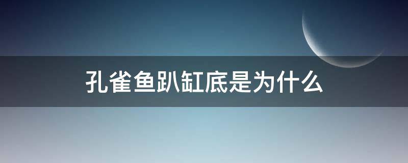 孔雀鱼趴缸底是为什么 孔雀鱼为啥趴缸底