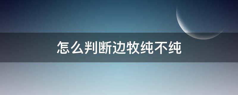 怎么判斷邊牧純不純 邊牧純不純怎么看么區(qū)分邊牧是否純正