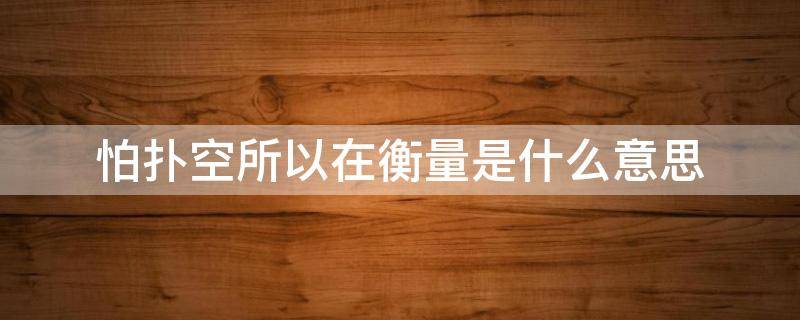 怕?lián)淇账栽诤饬渴鞘裁匆馑?怕?lián)淇?所以在衡量是什么意思