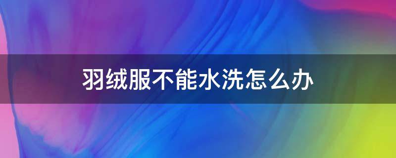 羽绒服不能水洗怎么办 不能水洗的羽绒服水洗了怎么办