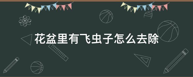 花盆里有飛蟲子怎么去除 花盆里有飛蟲咋辦