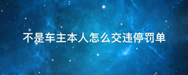 不是车主本人怎么交违停罚单（违停不是车主本人怎么处理）