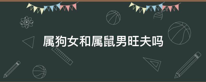 屬狗女和屬鼠男旺夫嗎 屬狗女和屬鼠男適合做夫妻嗎