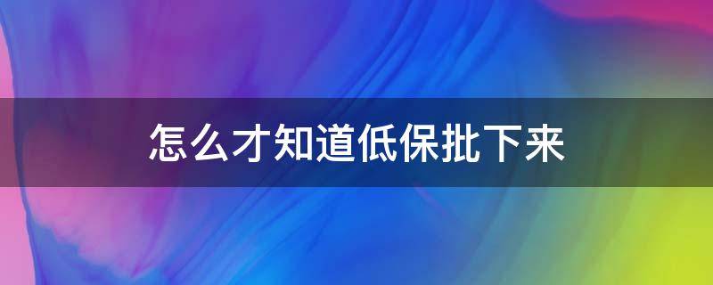 怎么才知道低保批下來（怎么看低保有沒有辦下來）