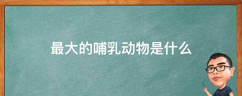 最大的哺乳动物是什么（最大的哺乳动物是什么?(小知识）