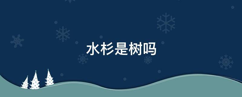 水杉是树吗（水杉是一种树吗）