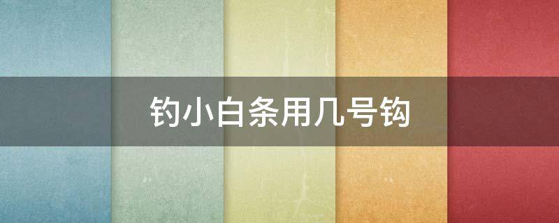 釣小白條用幾號鉤（釣小白條一般用幾號鉤）