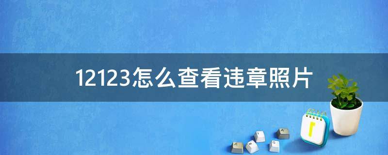 12123怎么查看違章照片 在12123上怎么查違章照片