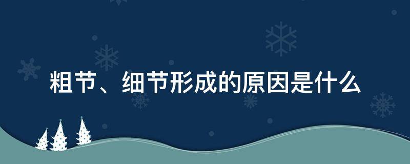 粗節(jié)、細(xì)節(jié)形成的原因是什么（粗細(xì)的細(xì)節(jié)）