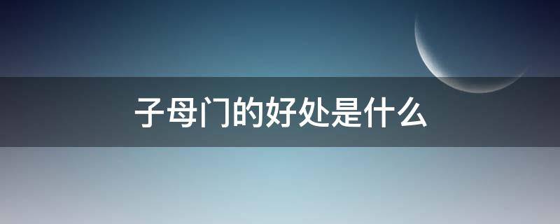 子母門(mén)的好處是什么（子母門(mén)有用嗎）