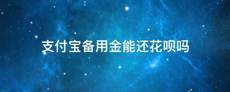 支付宝备用金能还花呗吗（支付宝花呗可以用备用金来还吗）