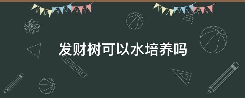 发财树可以水培养吗 发财树能用水养吗