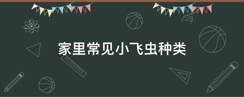 家里常見小飛蟲種類（家里小飛蟲有幾種）