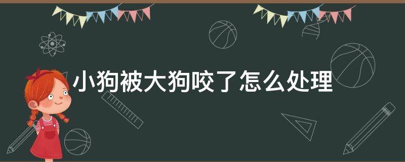 小狗被大狗咬了怎么處理（小狗被大狗咬了怎么處理脖子上）