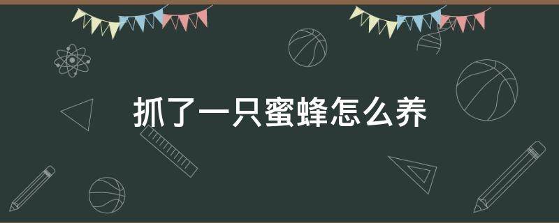 抓了一只蜜蜂怎么养 抓到一只蜜蜂怎么养