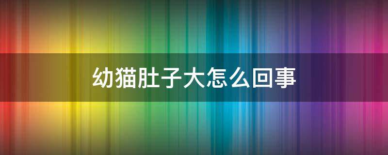 幼貓肚子大怎么回事 幼貓肚子大怎么辦