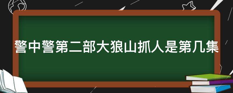 警中警第二部大狼山抓人是第几集 警中警打死人第几集