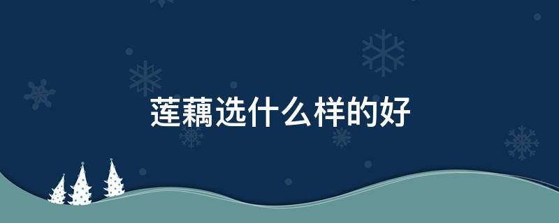 莲藕选什么样的好 莲藕挑选什么样的好