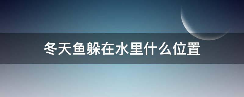 冬天鱼躲在水里什么位置 冬天鱼在水底吗