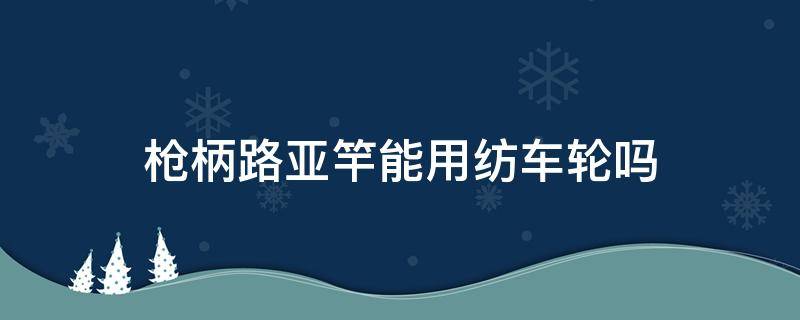 槍柄路亞竿能用紡車輪嗎 路亞槍桿能用紡車輪嗎