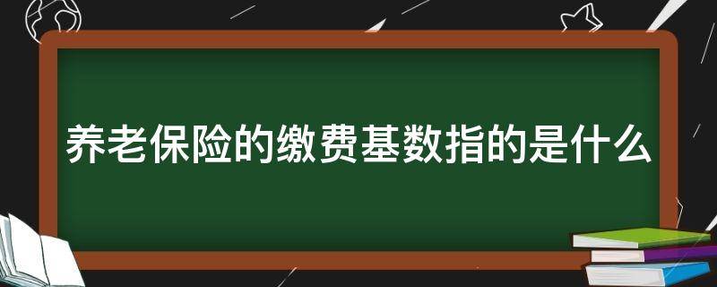 养老保险的缴费基数指的是什么 养老险的缴费基数是什么意思