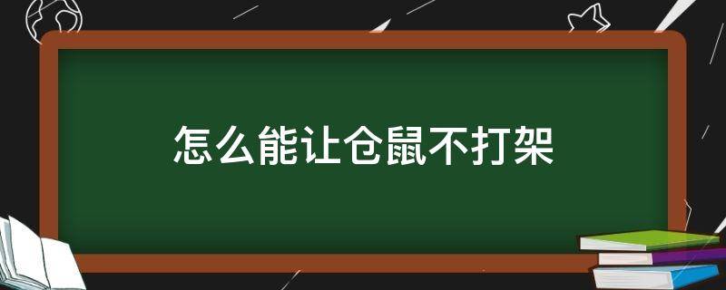 怎么能让仓鼠不打架 有什么办法让仓鼠不打架