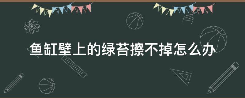 魚缸壁上的綠苔擦不掉怎么辦 魚缸玻璃上綠苔擦不掉